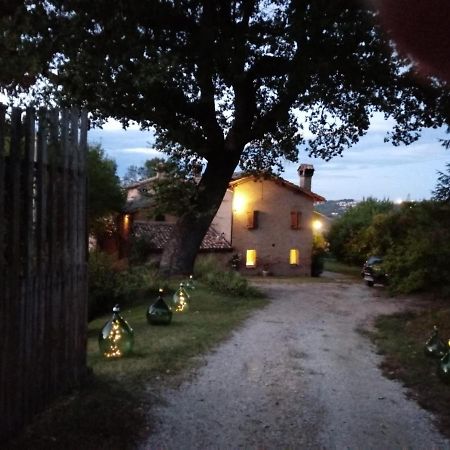 B&B I Canonici Ουρμπίνο Εξωτερικό φωτογραφία