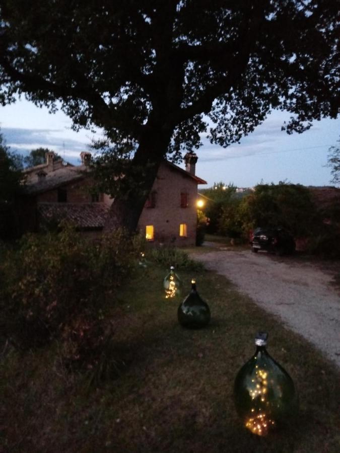 B&B I Canonici Ουρμπίνο Εξωτερικό φωτογραφία